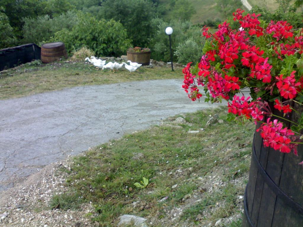 Aia Di Lazzaro Agriturismo Casalbore المظهر الخارجي الصورة